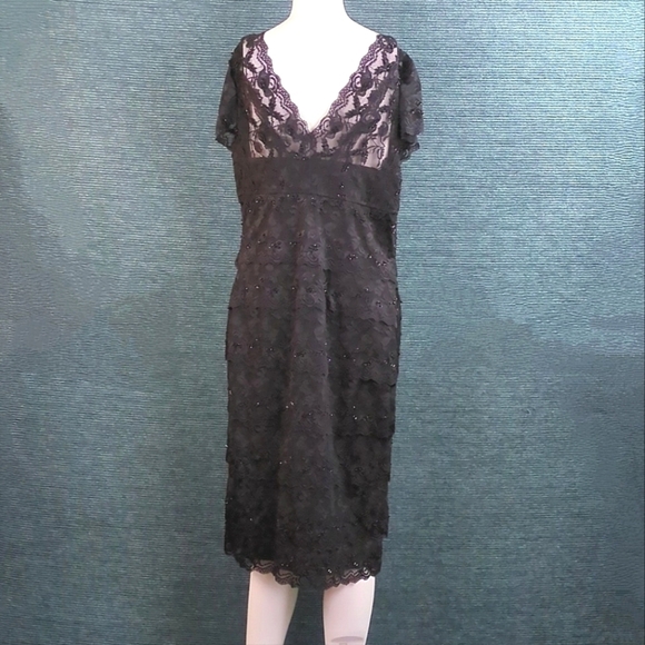 For Kitty Rescue! Blu Sage Tiered Lace Beaded Dress - Picture 9 of 13